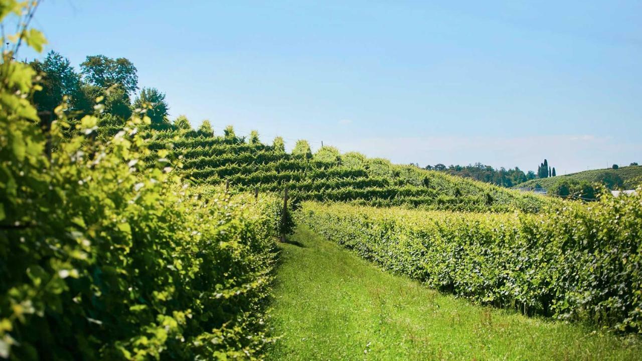 Agriturismo Roccat Valdobbiadene Εξωτερικό φωτογραφία